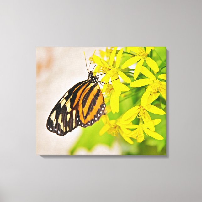Stretched Canvas Print Leinwanddruck (Vorderseite)