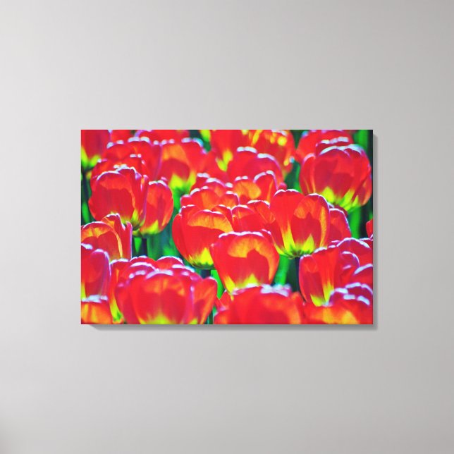 Stretched Canvas Print Leinwanddruck (Vorderseite)