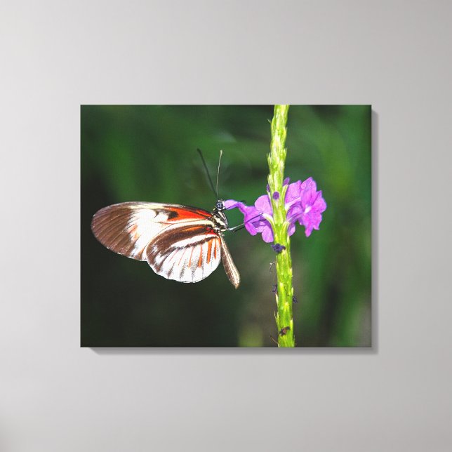 Stretched Canvas Print Leinwanddruck (Vorderseite)