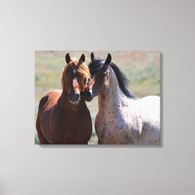 Stretched Canvas Print Leinwanddruck (Vorderseite)