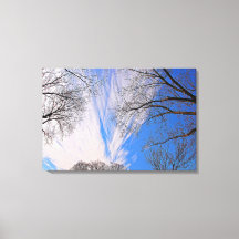 Stretched Canvas Print
