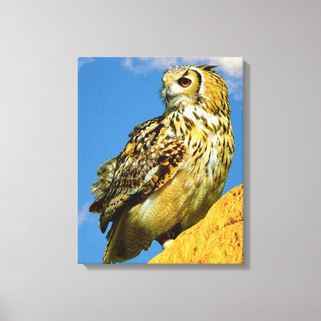 Stretched Canvas Print Leinwanddruck (Vorderseite)