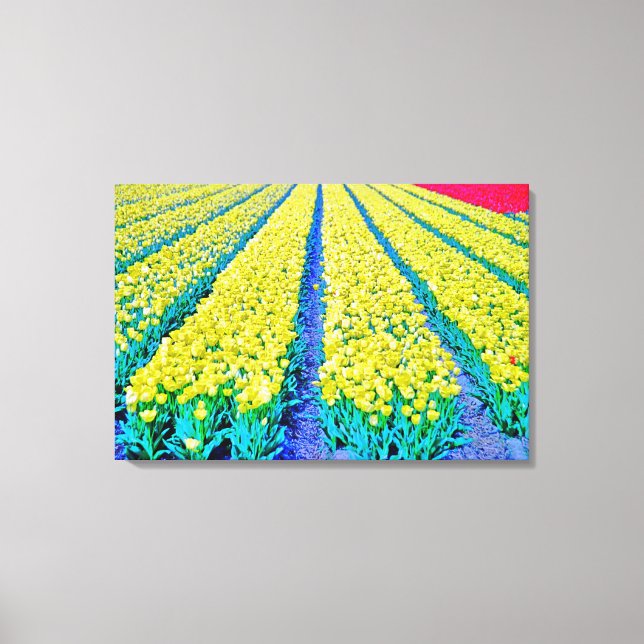 Stretched Canvas Print Leinwanddruck (Vorderseite)