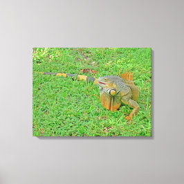 Stretched Canvas Print Leinwanddruck