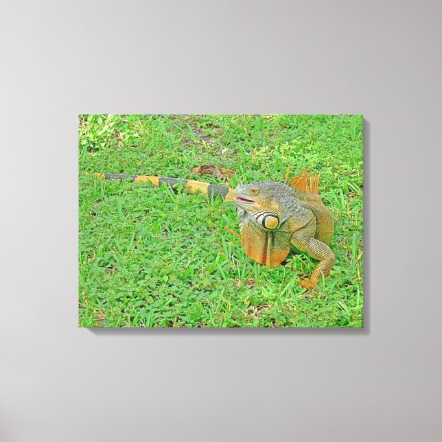 Stretched Canvas Print Leinwanddruck (Vorderseite)