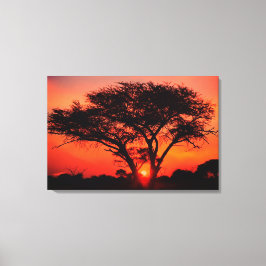 Stretched Canvas Print Leinwanddruck