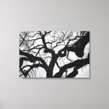 Stretched Canvas Print