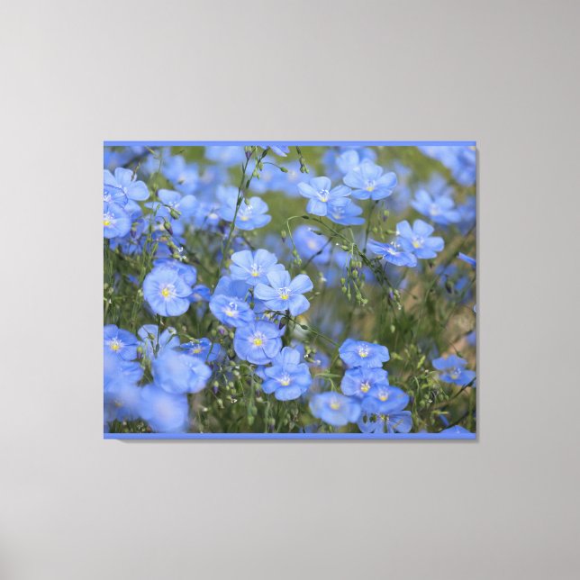 Stretched Canvas Print Leinwanddruck (Vorderseite)