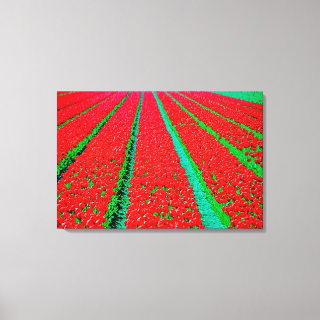 Stretched Canvas Print Leinwanddruck (Vorderseite)