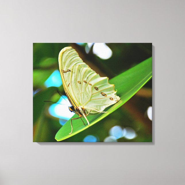 Stretched Canvas Print Leinwanddruck (Vorderseite)