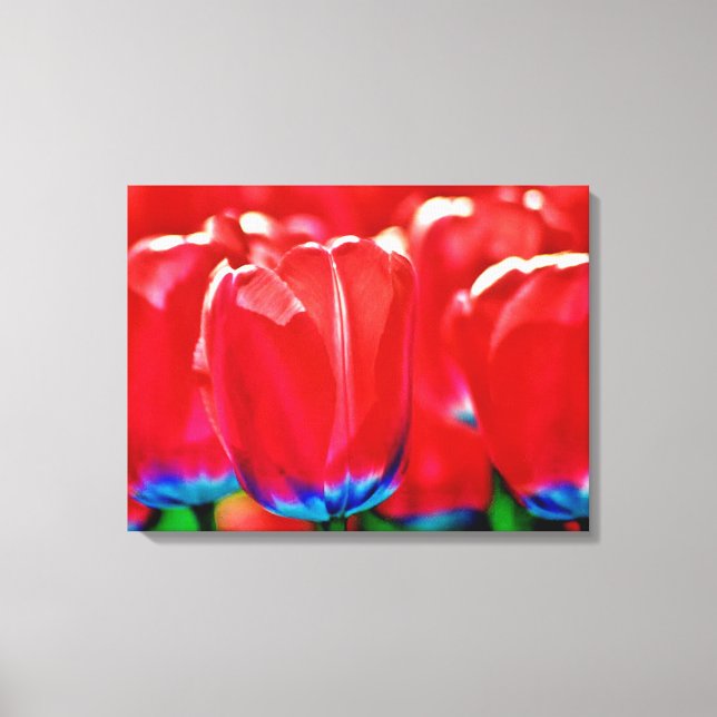 Stretched Canvas Print Leinwanddruck (Vorderseite)