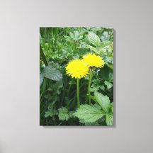 Stretched Canvas Print