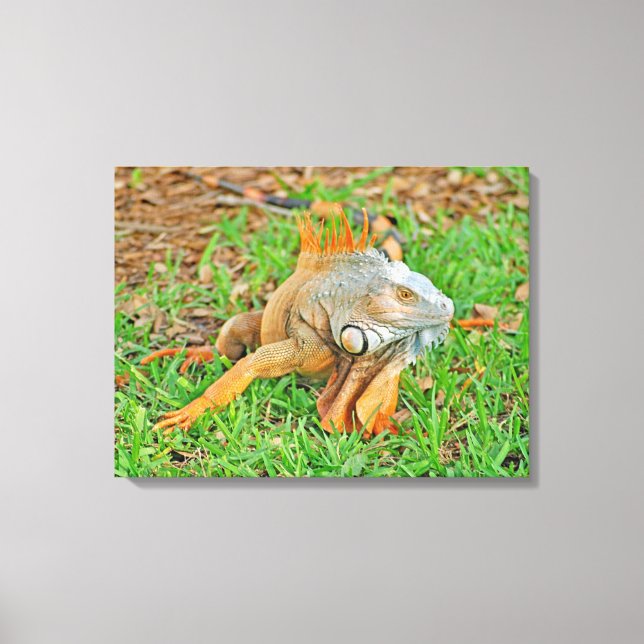 Stretched Canvas Print Leinwanddruck (Vorderseite)