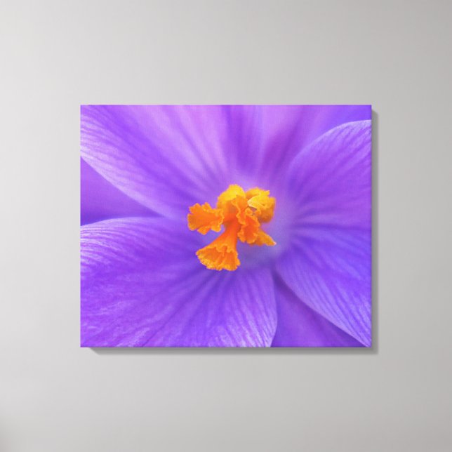 Stretched Canvas Print Leinwanddruck (Vorderseite)
