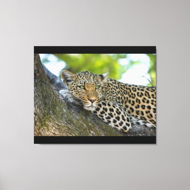 Stretched Canvas Print Leinwanddruck (Vorderseite)