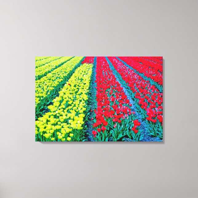 Stretched Canvas Print Leinwanddruck (Vorderseite)