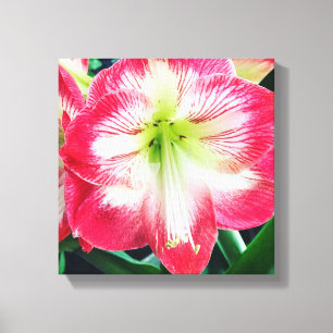 Stretched Canvas Print Leinwanddruck