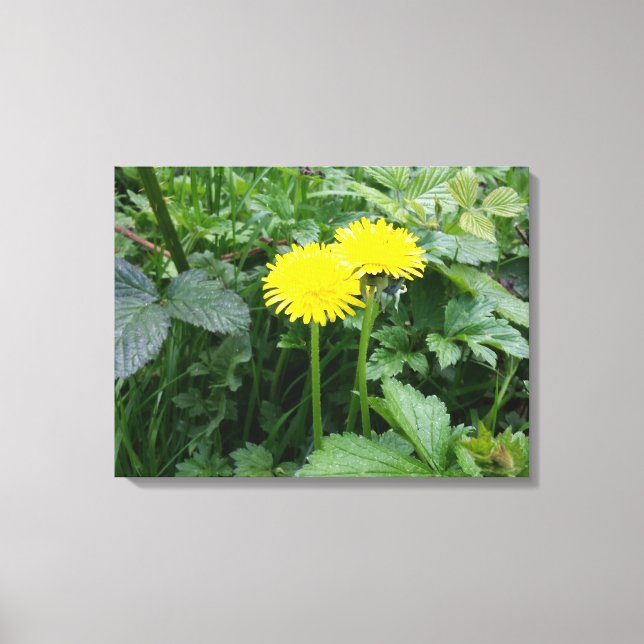 Stretched Canvas Print Leinwanddruck (Vorderseite)