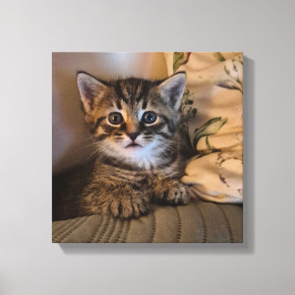 Stretched Canvas Print Leinwanddruck