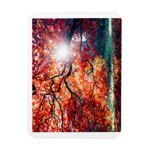 Stretched Canvas Print Magnet