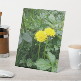 Stretched Canvas Print Sockelschild