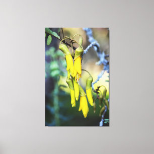 Stretched Leinwand Original Print von Kowhai Blume