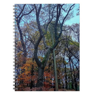 Stretching-Baum Notizblock