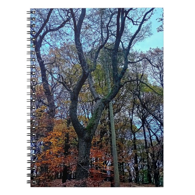 Stretching-Baum Notizblock (Vorderseite)