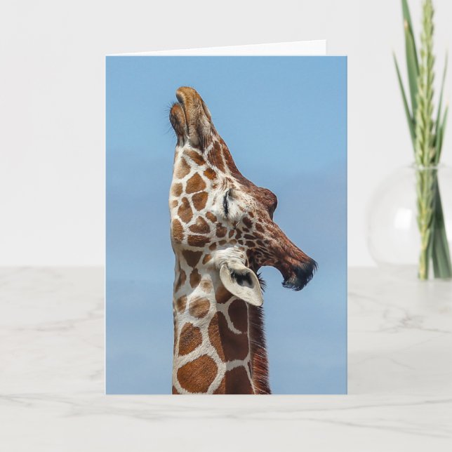 Stretching Giraffe Card Karte (Vorderseite)