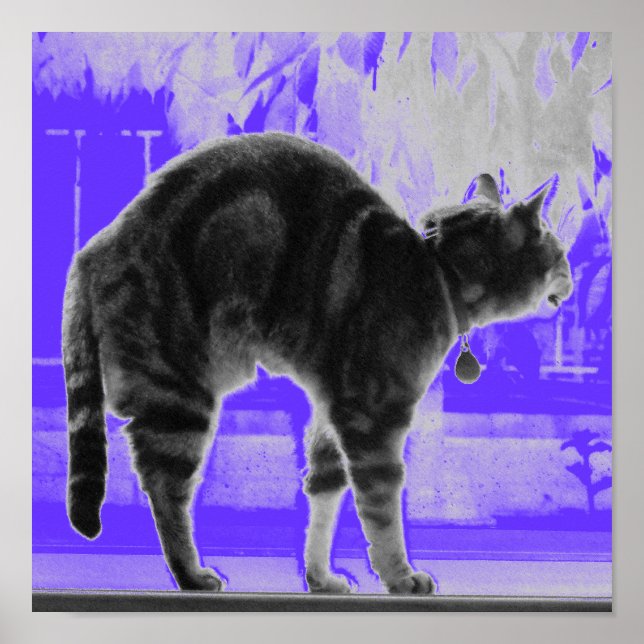 Stretching Indigo B+W Poster (Vorne)