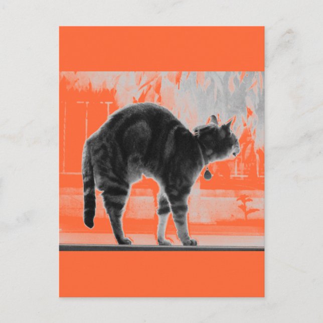 Stretching-Indigostift Postkarte (Vorderseite)