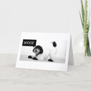 STRETCHING PUP VEUT SAUTER POUR JOIE CARTE D'ANNIV