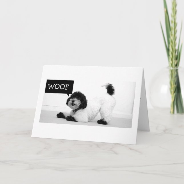 STRETCHING PUP WILL JUMP FÜR JOY BIRTHDAY CARD KARTE (Vorderseite)