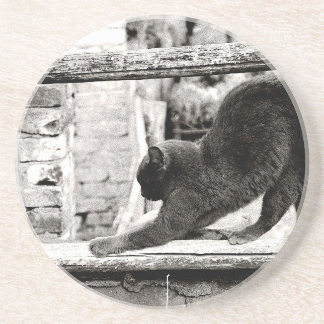 Stretchkatze Untersetzer (Vorne)