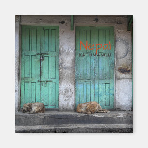 Streunende Hunde in Kathmandu, Nepal Textmagnet Magnet