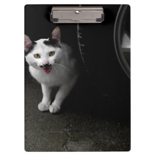 Streunende Katze mit Schnurrbart Klemmbrett