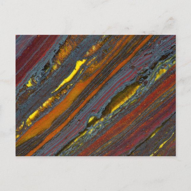 Strickaustralisches Tiger Eye Postkarte (Vorderseite)