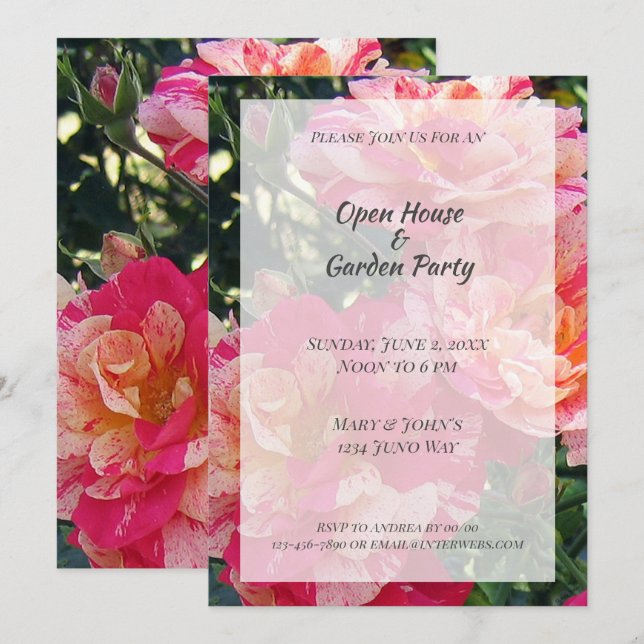 Strickte Rose Open House Garden Party Einladungen (Vorne/Hinten)