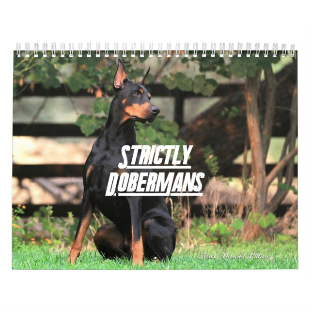 Strictly Dobermans Calendar 2026 Kalender (Titelbild)