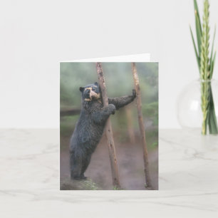 Strike a Pose - Bubu Notecard Karte