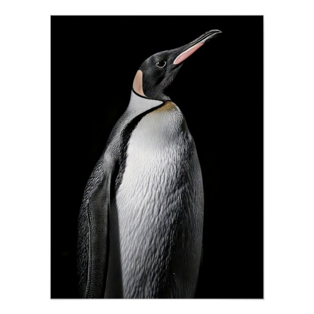  Striking High Contrast Emperor Penguin Fine Art  Poster (Vorderseite)