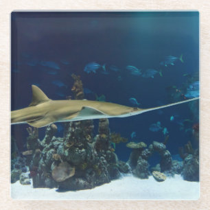 Strikter Sawfish Glasuntersetzer