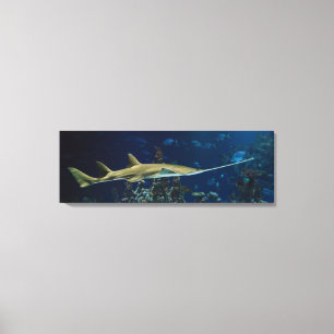 Strikter Sawfish Leinwanddruck