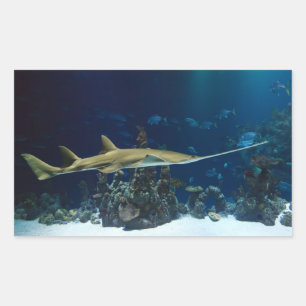 Strikter Sawfish Rechteckiger Aufkleber