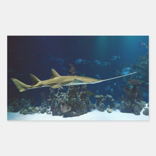 Strikter Sawfish Rechteckiger Aufkleber (Vorderseite)