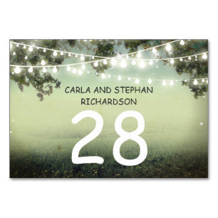String lights Wedding Tischnummer Card Platzkarte