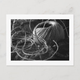 String Postkarte