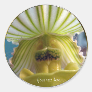 Striped Lime Green Slipper Orchid Wedding Siegel Runder Aufkleber