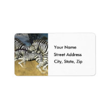 Stripes de course - Étiquettes de adresse zèbres