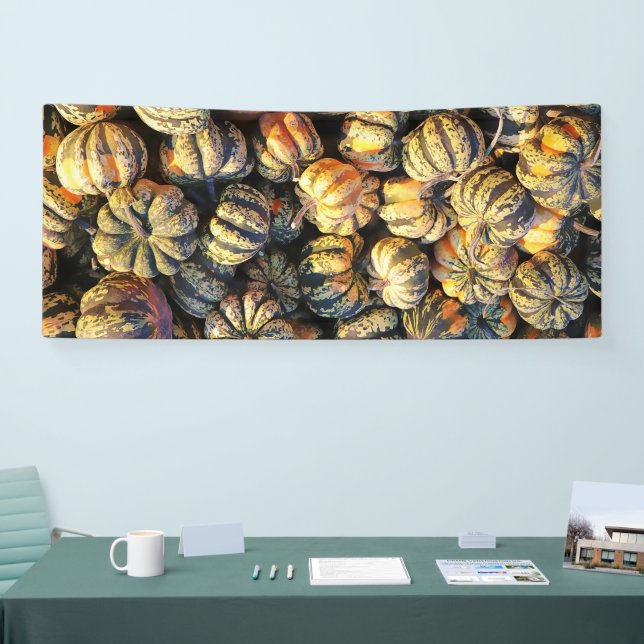 Stripey Pumpkins Cluster  Banner (Messe)